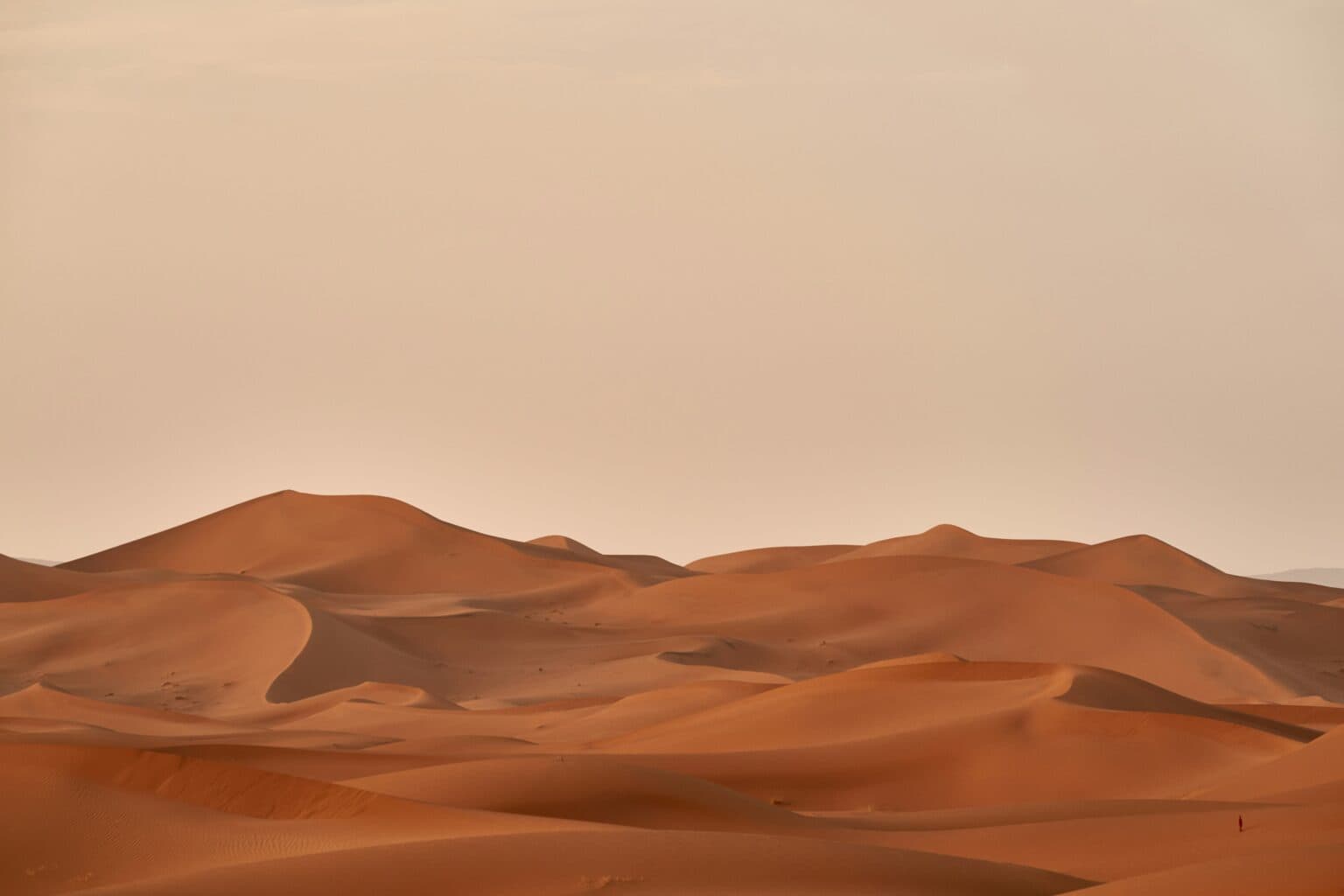 Royal Tour Dubai team providing premium desert safari and tour experiences